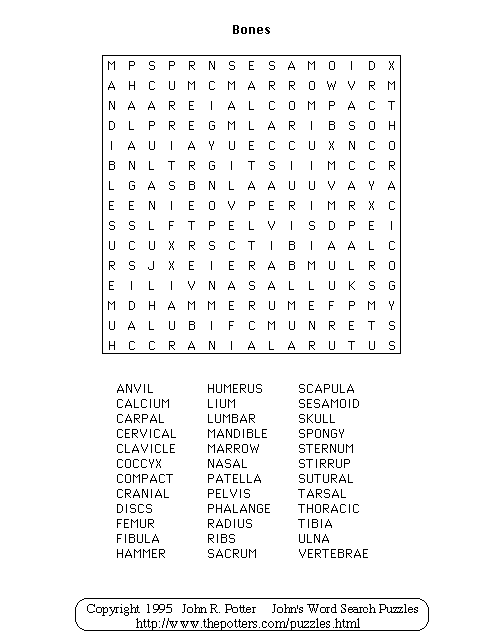 John s Word Search Puzzles Bones